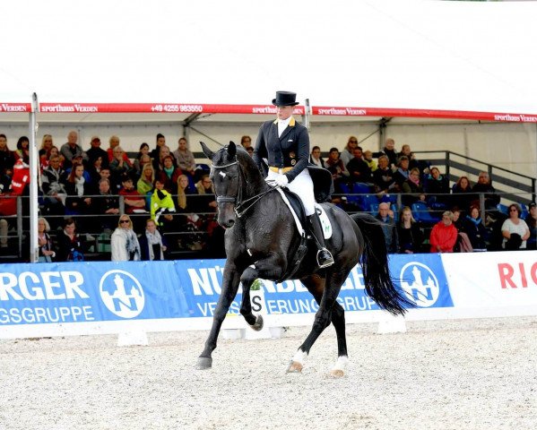 dressage horse Flamboyant OLD (Oldenburg, 2008, from Fidertanz)