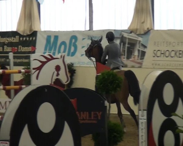 CSI* Damme 2014
