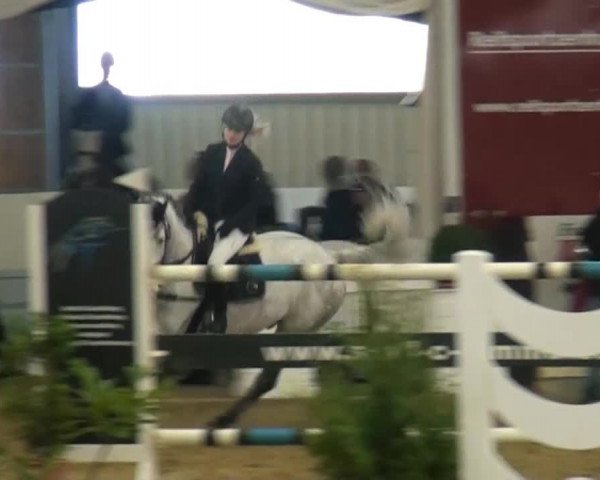 CSI* Damme 2014