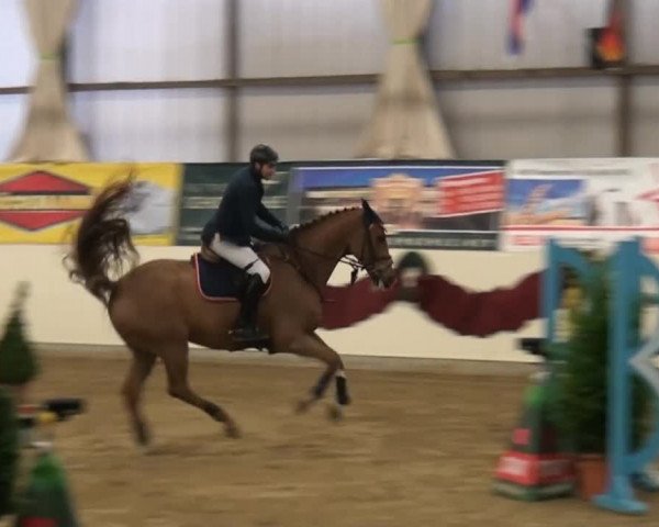 CSI* Damme 2014