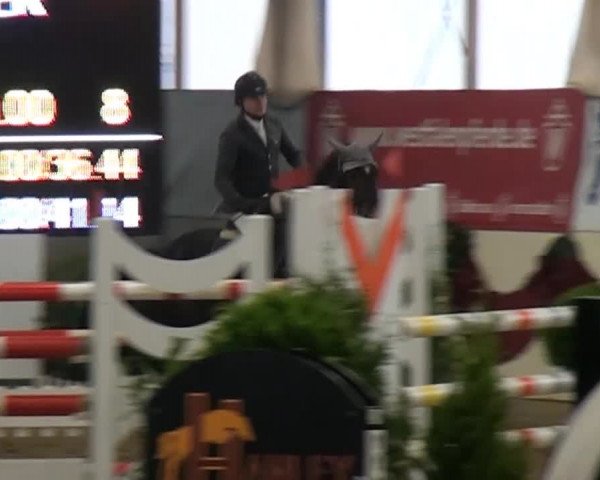 CSI* Damme 2014