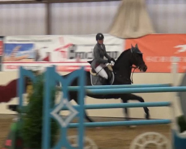 CSI* Damme 2014