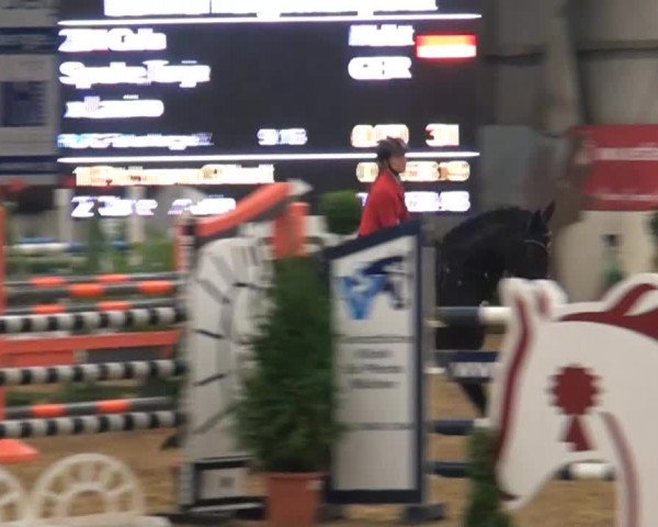 CSI* Damme 2014