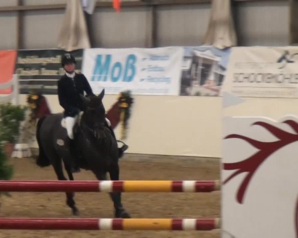 CSI* Damme 2014