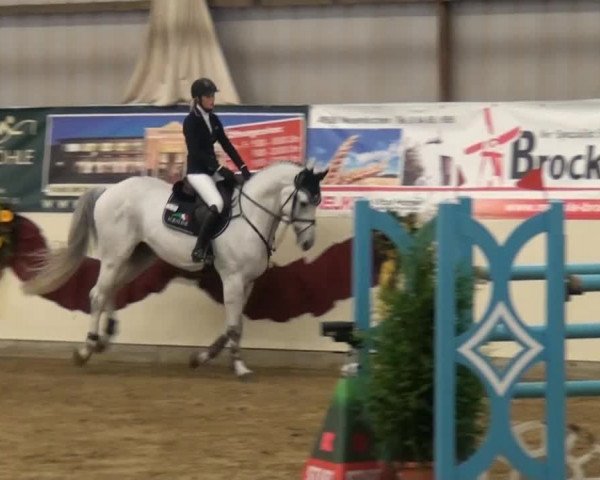 CSI* Damme 2014