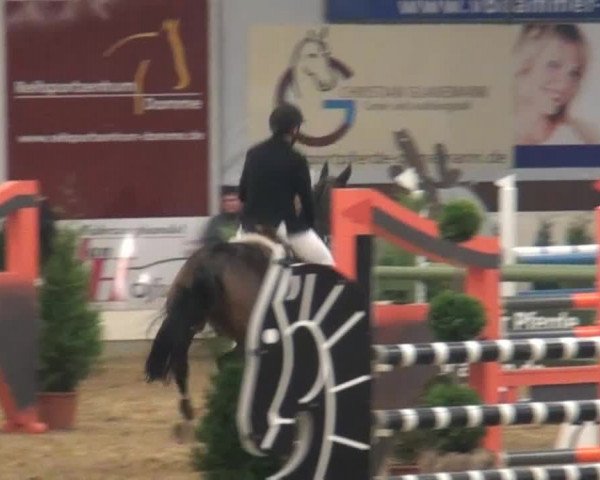 CSI* Damme 2014