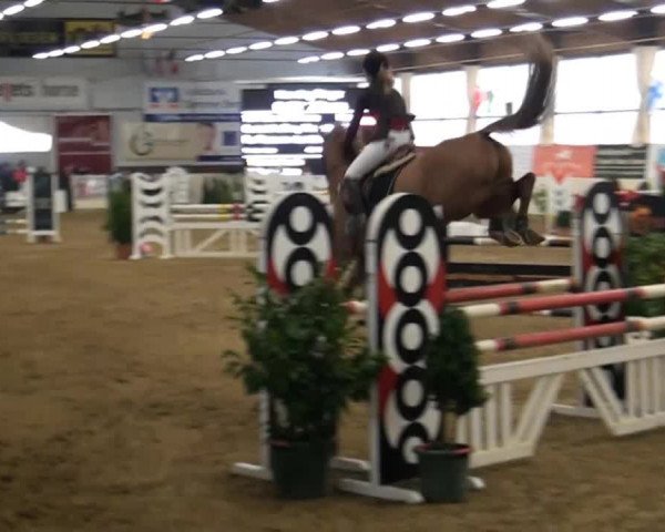 CSI* Damme 2014