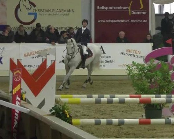 FEI Reitturnier Damme-Neuenwalde (GER) 2014