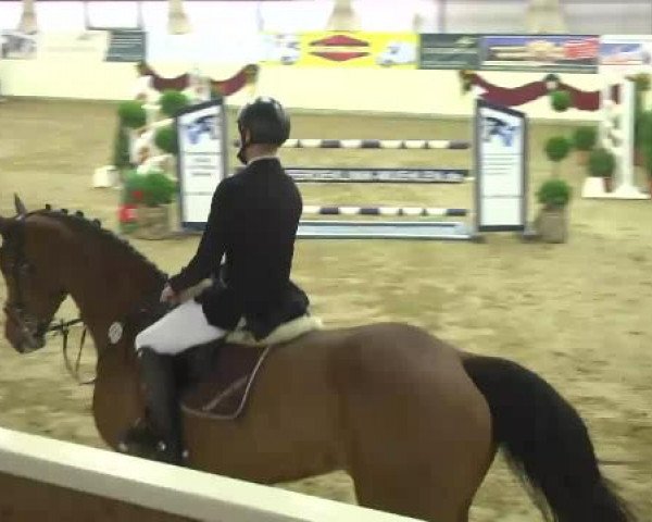 FEI Reitturnier Damme-Neuenwalde (GER) 2014
