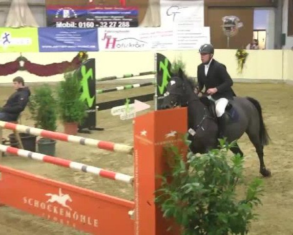 FEI Reitturnier Damme-Neuenwalde (GER) 2014