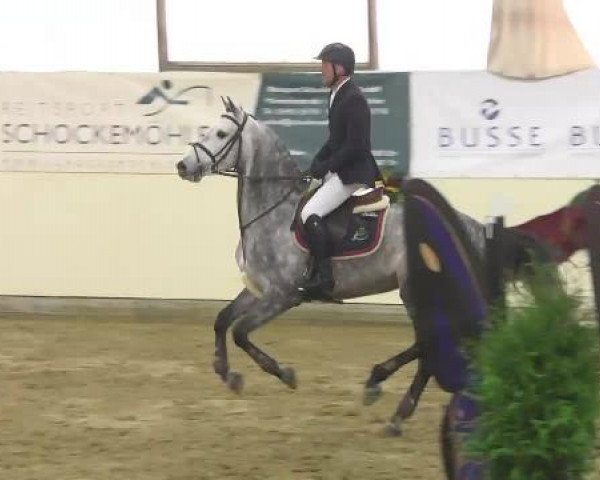 FEI Reitturnier Damme-Neuenwalde (GER) 2014