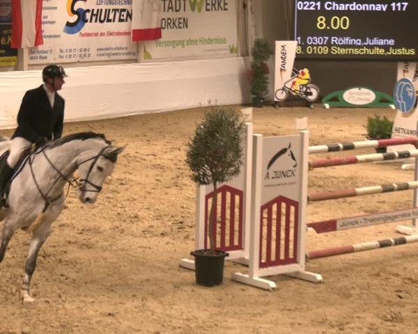 Torneo Equestre Borken 2026