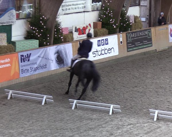 Reitturnier Leck 2021