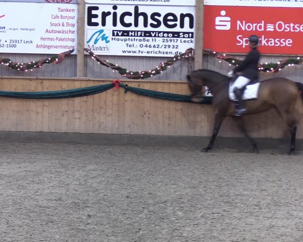 Reitturnier Leck 2021