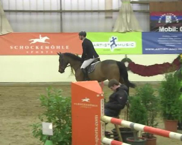 FEI Reitturnier Damme-Neuenwalde (GER) 2014