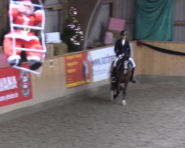 Reitturnier Leck 2021