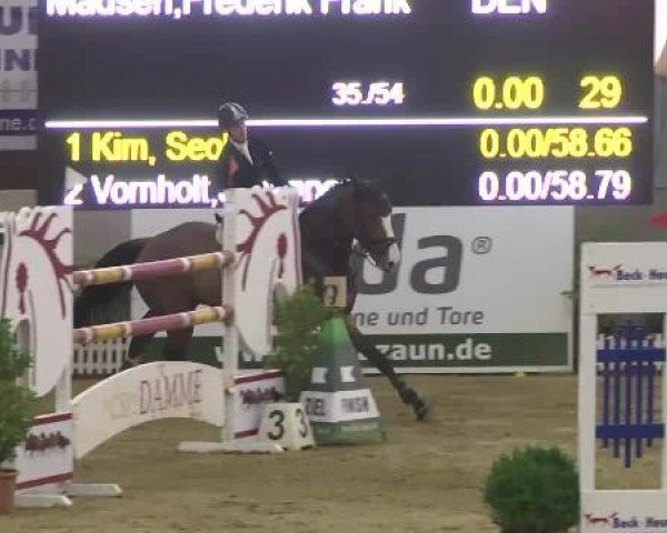 FEI Reitturnier Damme-Neuenwalde (GER) 2014