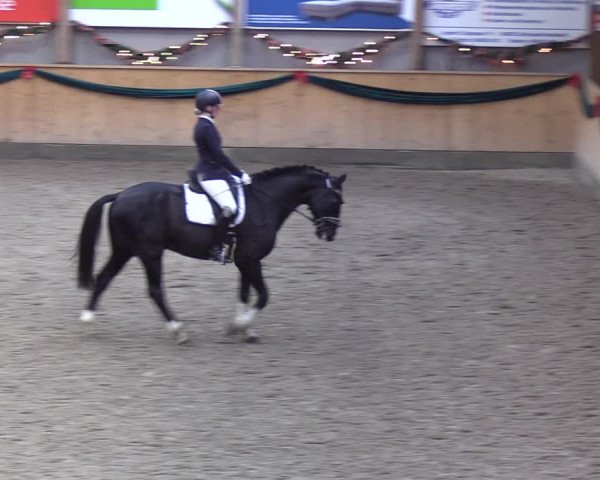 Reitturnier Leck 2021