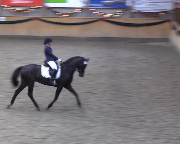 Reitturnier Leck 2021