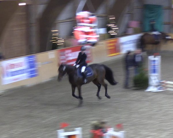 Reitturnier Leck 2021