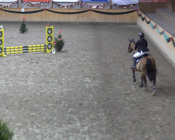 Reitturnier Leck 2021