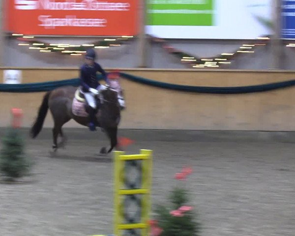 Reitturnier Leck 2021