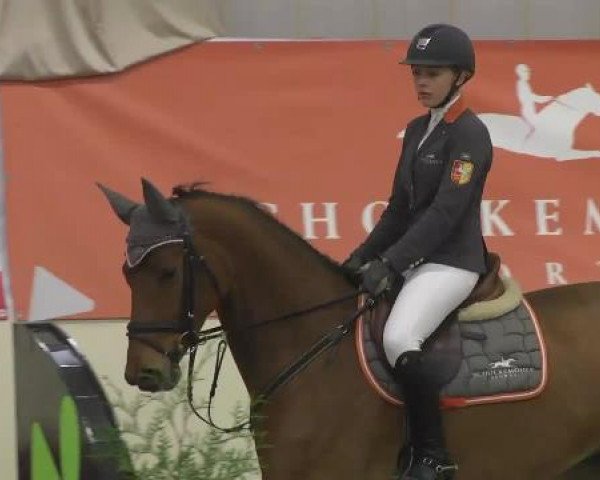 FEI Reitturnier Damme-Neuenwalde (GER) 2014