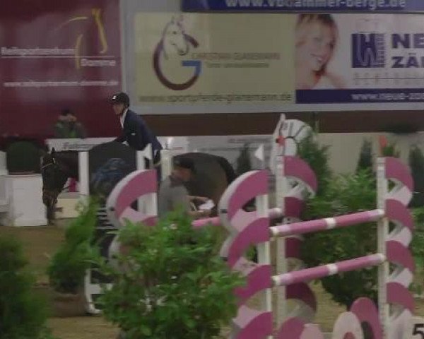 FEI Reitturnier Damme-Neuenwalde (GER) 2014