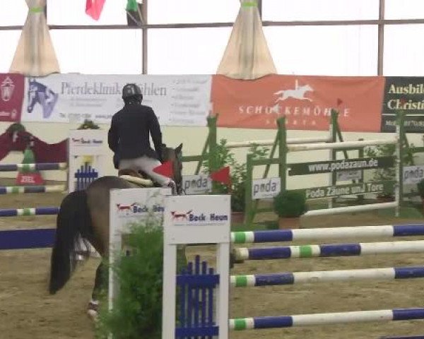 FEI Reitturnier Damme-Neuenwalde (GER) 2014