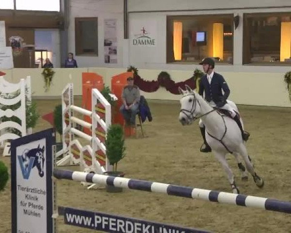 FEI Reitturnier Damme-Neuenwalde (GER) 2014