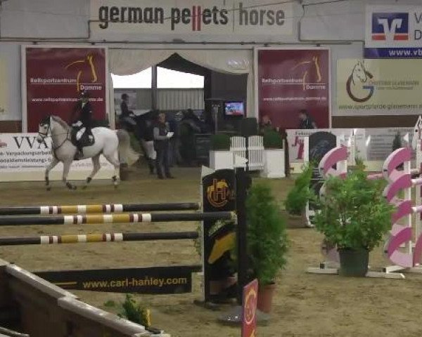 FEI Reitturnier Damme-Neuenwalde (GER) 2014
