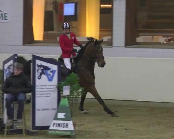FEI Reitturnier Damme-Neuenwalde (GER) 2014
