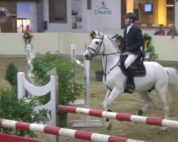 FEI Reitturnier Damme-Neuenwalde (GER) 2014