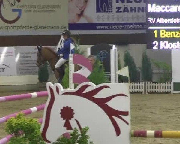 FEI Reitturnier Damme-Neuenwalde (GER) 2014