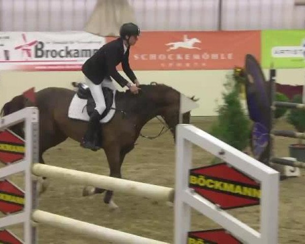 FEI Reitturnier Damme-Neuenwalde (GER) 2014