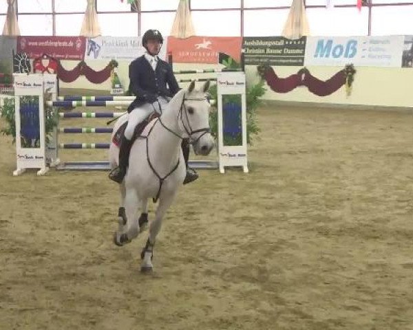 FEI Reitturnier Damme-Neuenwalde (GER) 2014