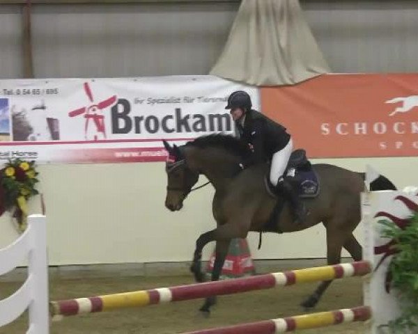 FEI Reitturnier Damme-Neuenwalde (GER) 2014