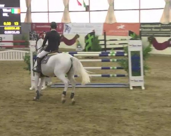 FEI Reitturnier Damme-Neuenwalde (GER) 2014