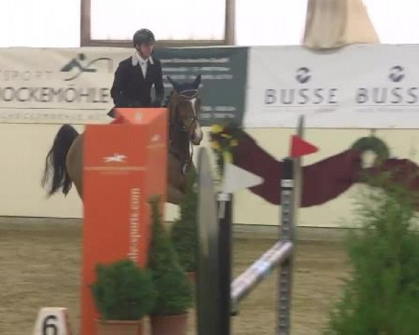 FEI Reitturnier Damme-Neuenwalde (GER) 2014