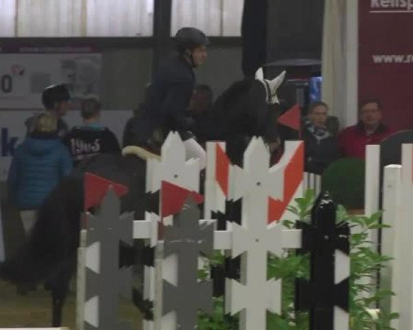 FEI Reitturnier Damme-Neuenwalde (GER) 2014