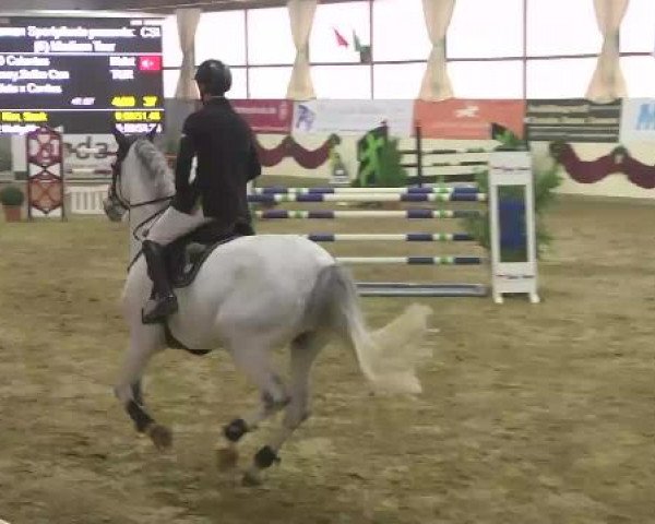 FEI Reitturnier Damme-Neuenwalde (GER) 2014