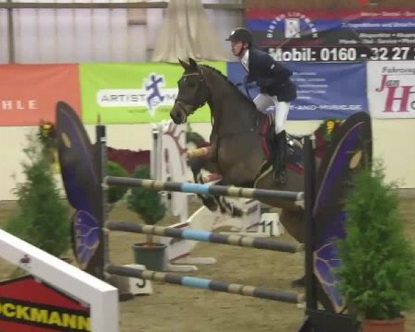 FEI Reitturnier Damme-Neuenwalde (GER) 2014