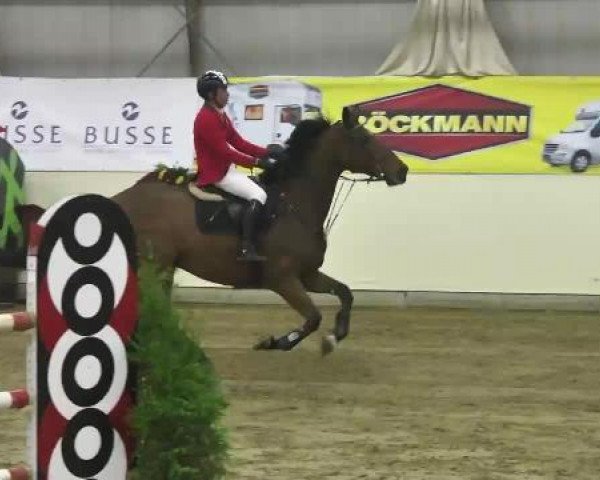 FEI Reitturnier Damme-Neuenwalde (GER) 2014