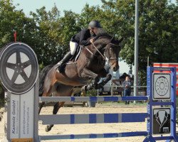jumper Birdie 7 (Hanoverian, 2009, from Balou du Rouet)