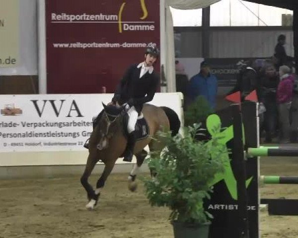 FEI Reitturnier Damme-Neuenwalde (GER) 2014