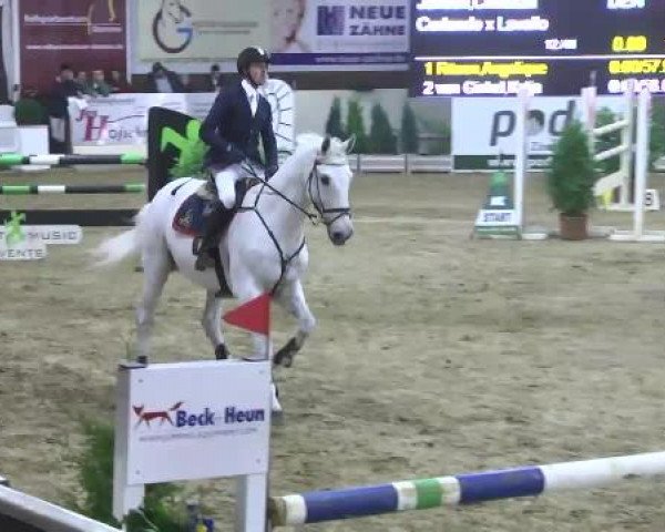 FEI Reitturnier Damme-Neuenwalde (GER) 2014