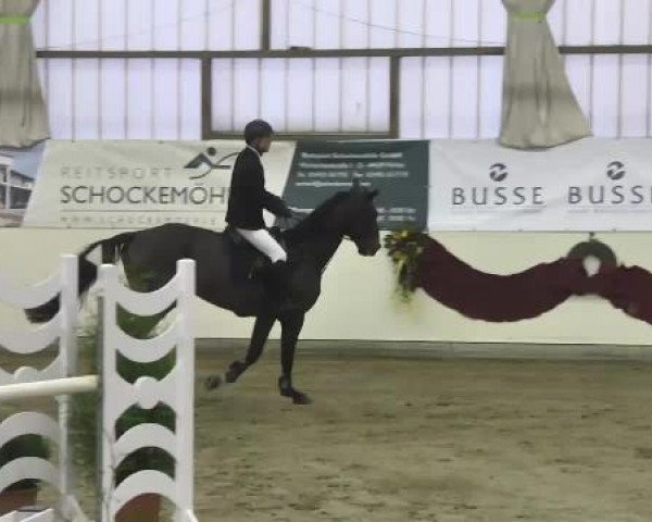 FEI Reitturnier Damme-Neuenwalde (GER) 2014