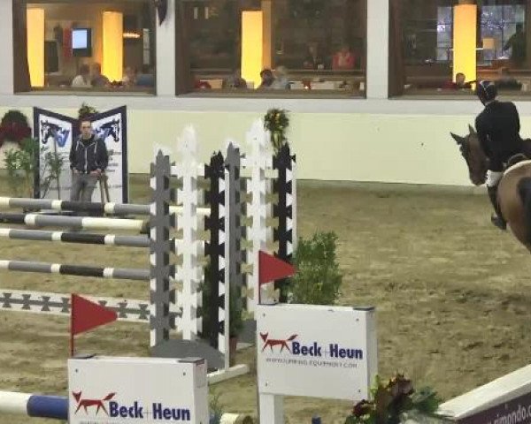 FEI Reitturnier Damme-Neuenwalde (GER) 2014