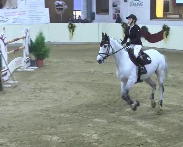 FEI Reitturnier Damme-Neuenwalde (GER) 2014