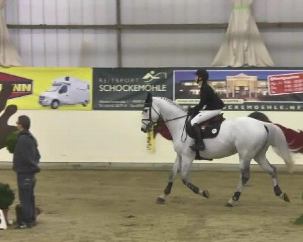 FEI Reitturnier Damme-Neuenwalde (GER) 2014